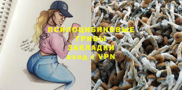 сатива Алзамай