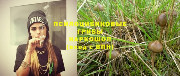 экстази Алексин