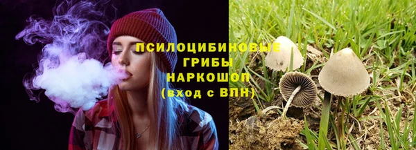 сатива Алзамай